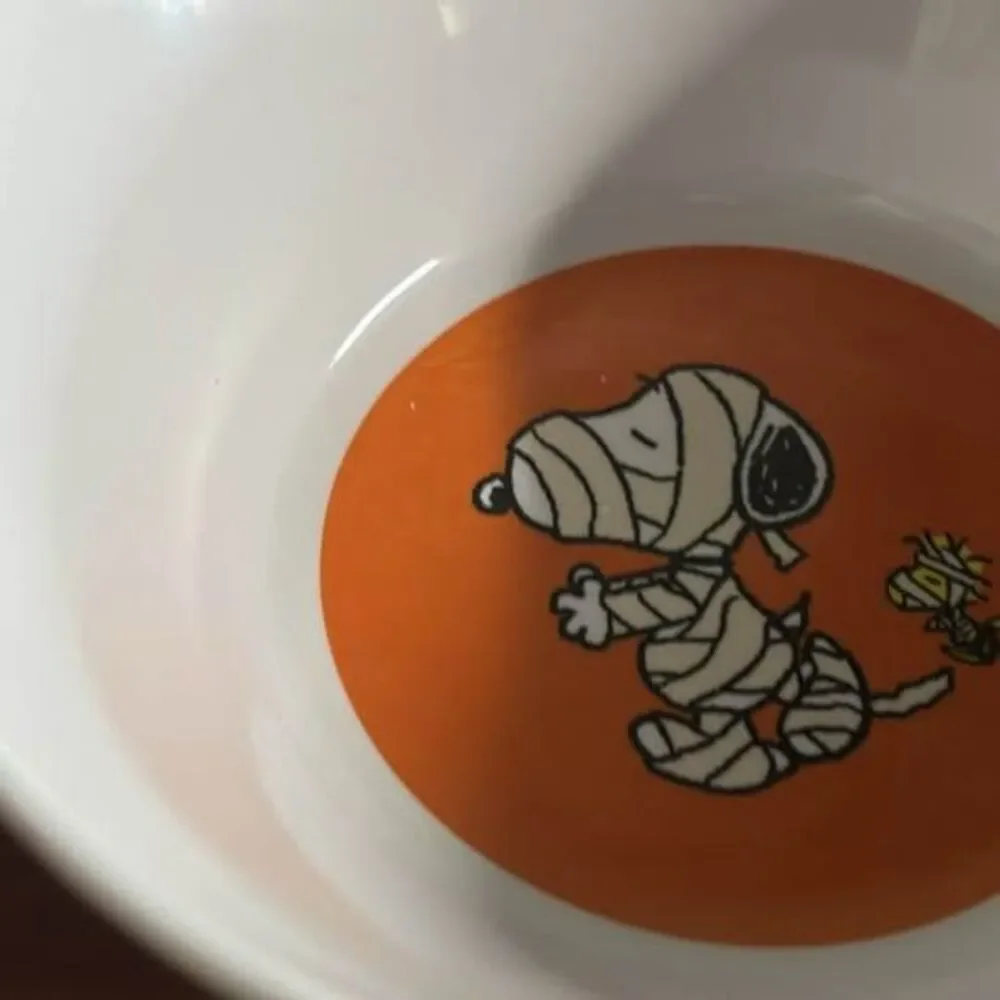 Pottery Barn Peanuts Snoopy Halloween Plate and Bowl 4 set (8 total) Melamine